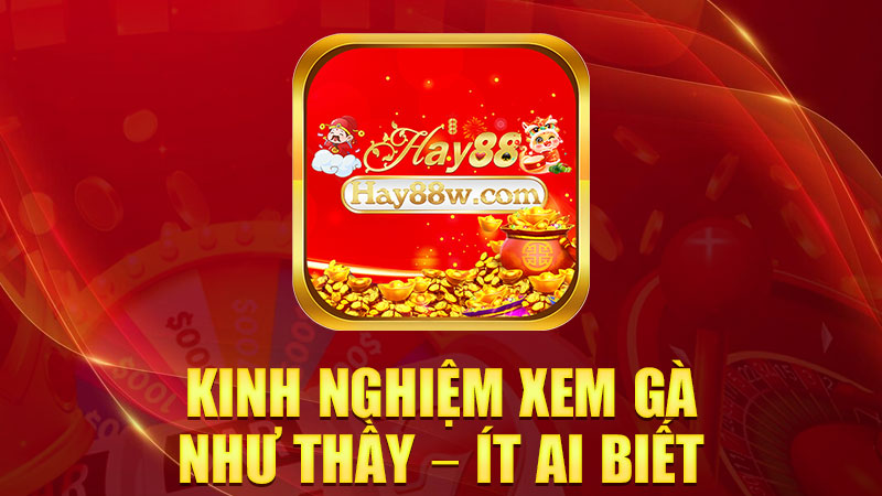 Kinh nghiệm xem gà như thầy – ít ai biết